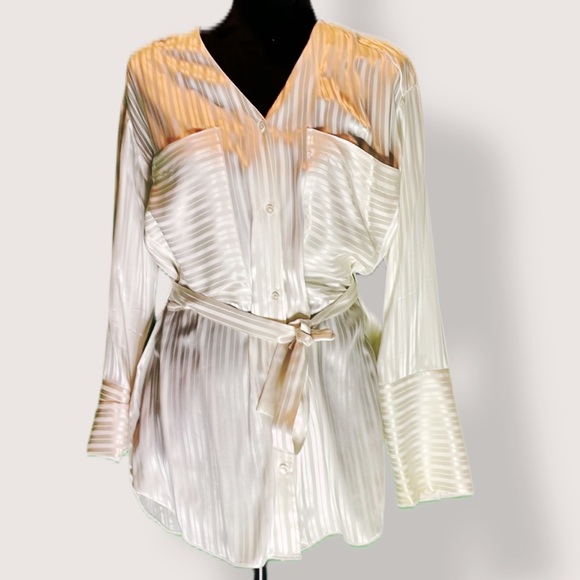 Aritzia, Zelle shirt, belted , Blouse Silk - Picture 5 of 11